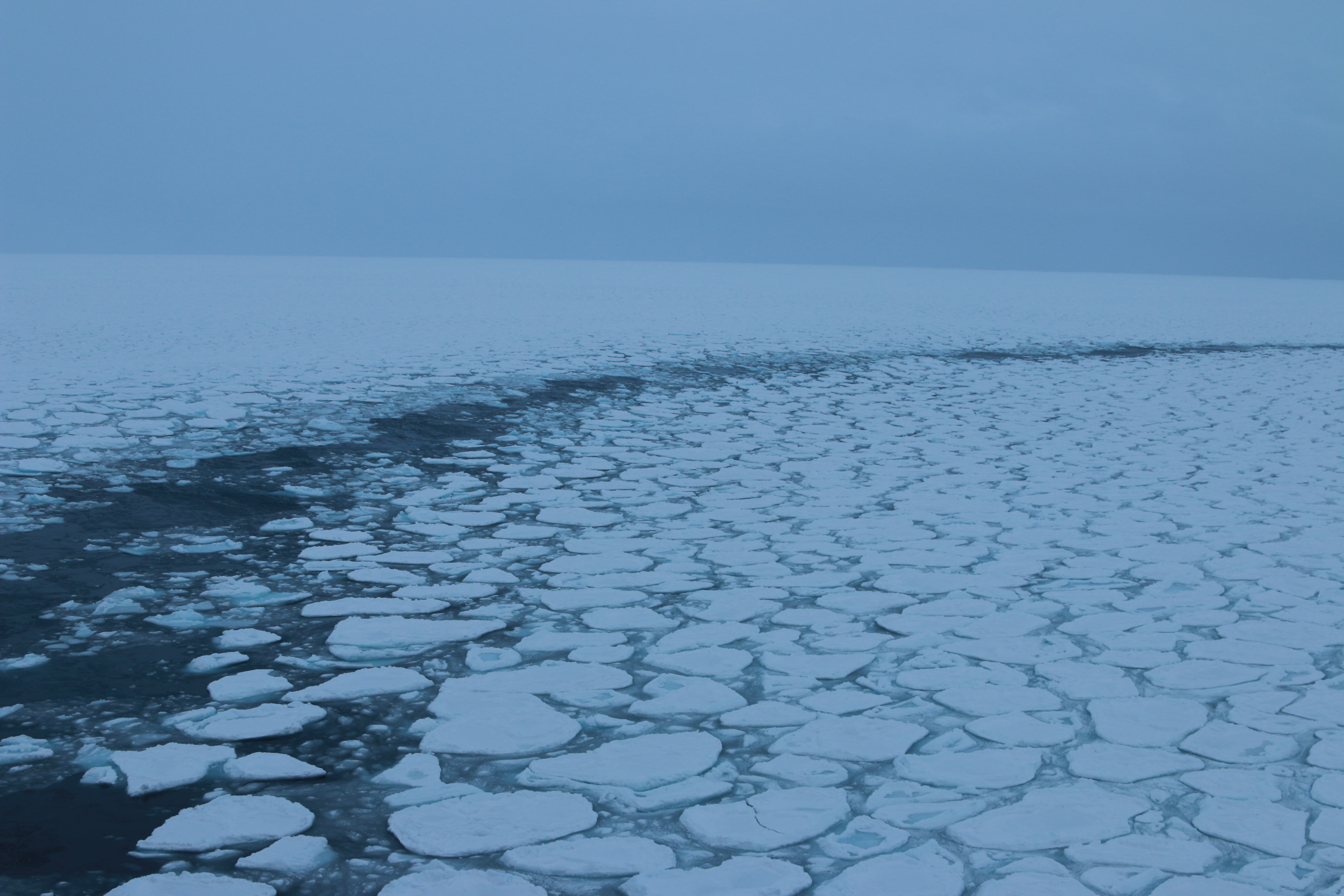 Sea Ice Antarctica cruise mixed finite elements